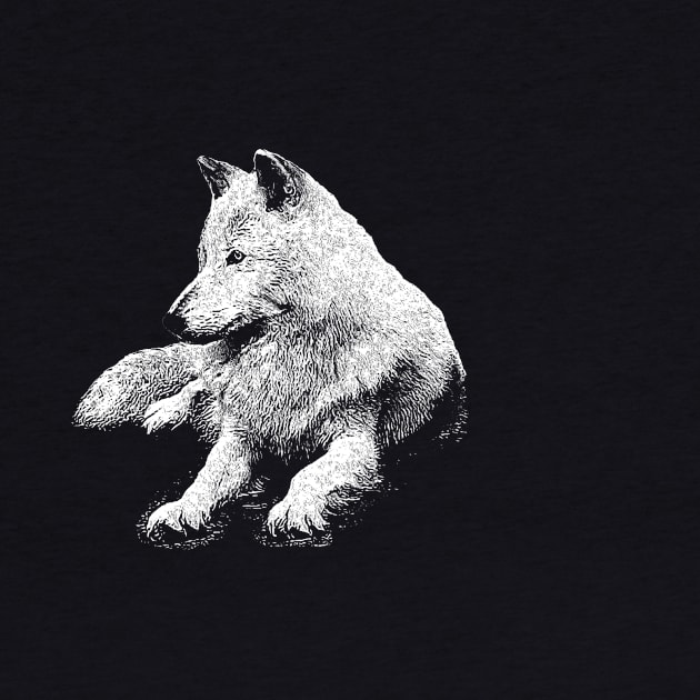 White wolf by Guardi